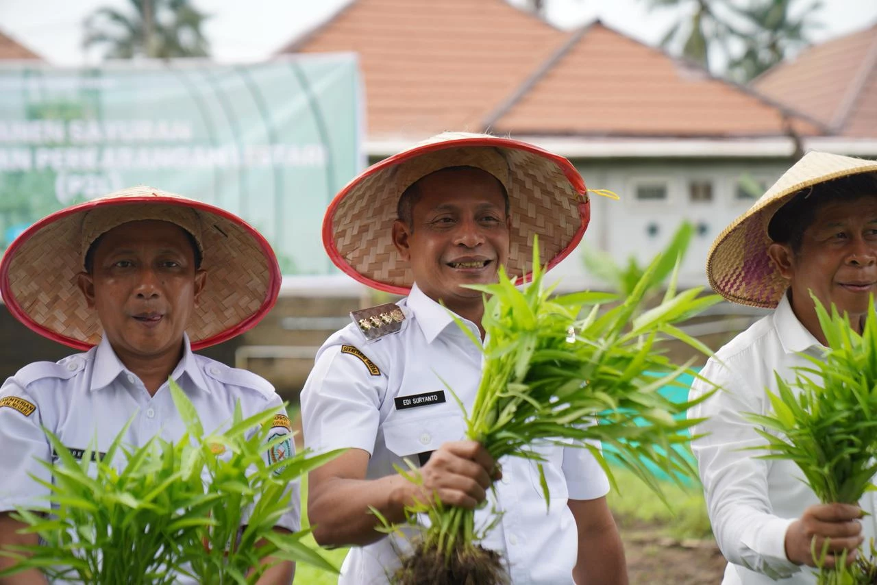 Manfaatkan Pekarangan untuk Tanaman Sayur