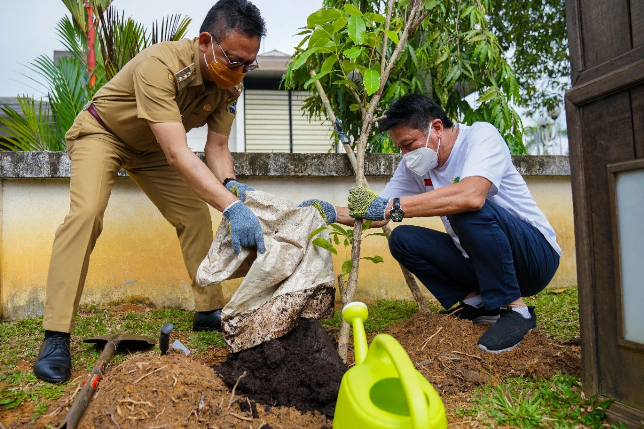 Edi Tanam Pohon Tabebuya di Halaman Kantor