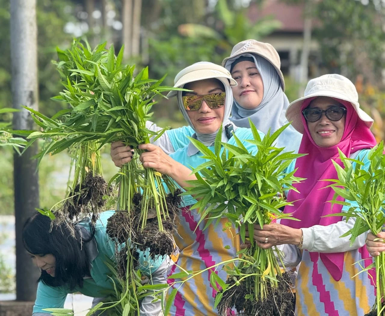 Galakkan Tanaman Hortikultura, PKK Pontianak Ajak Manfaatkan Pekarangan