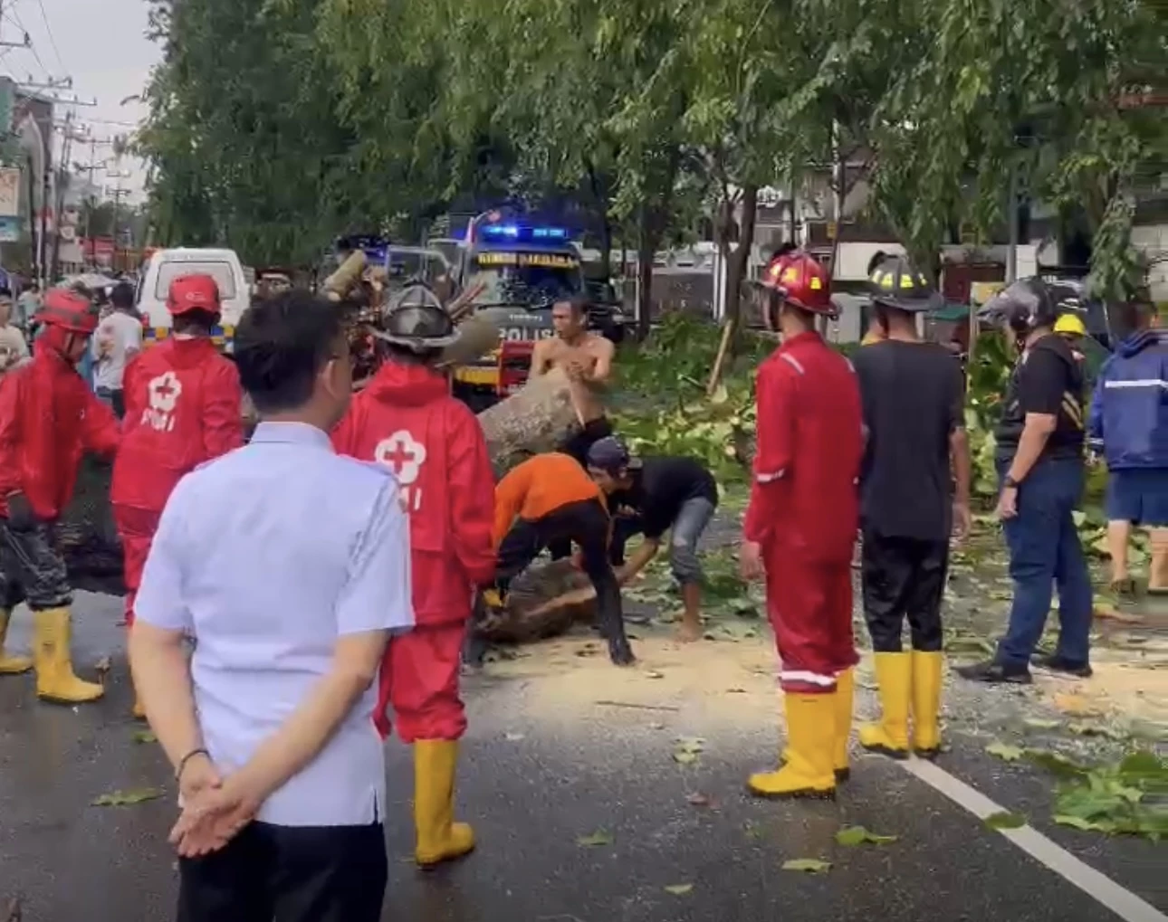 Angin Kencang Tumbangkan Sejumlah Pohon, Wako Tinjau Langsung Evakuasi Pohon