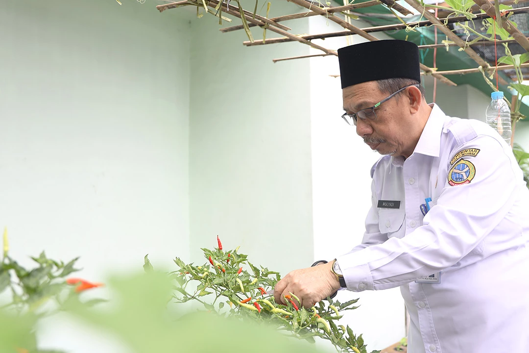 Kemeriahan Hari Jadi, Warga hingga ASN Gencar Menanam Sayur