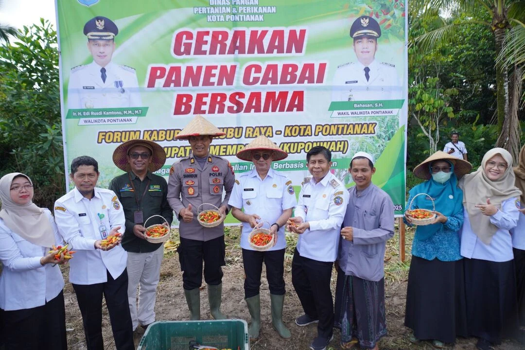 Panen Cabai Serentak TPID KUPONWAH, Upaya Bersama Kendalikan Inflasi