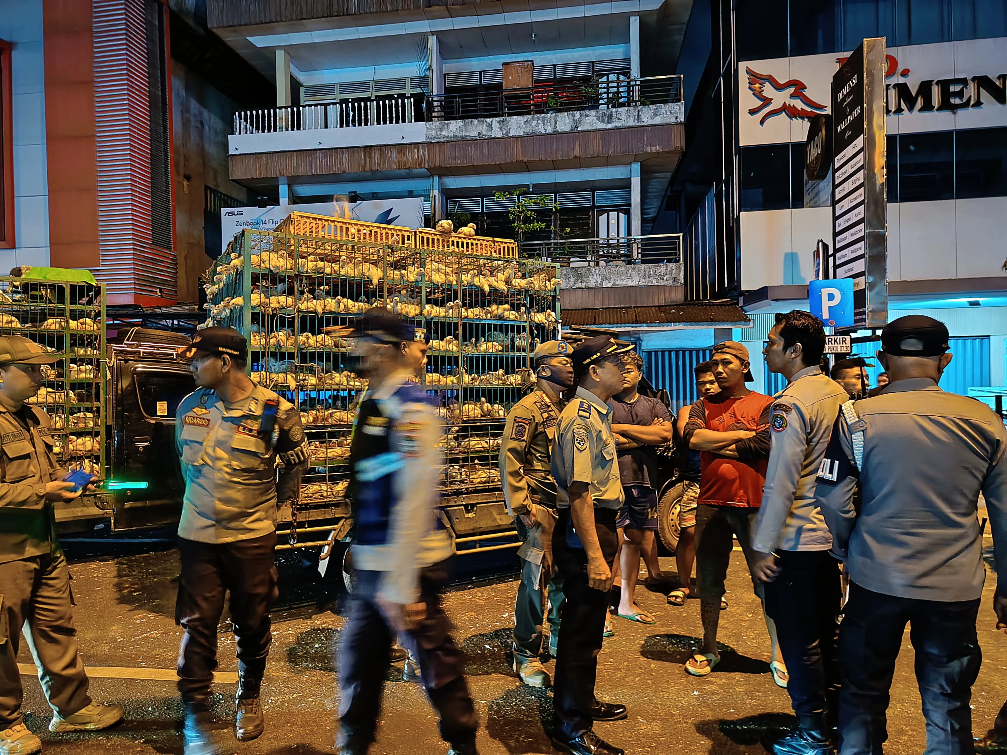 Bongkar Muat di Jalan, 15 Pickup Angkutan Ayam Ditilang