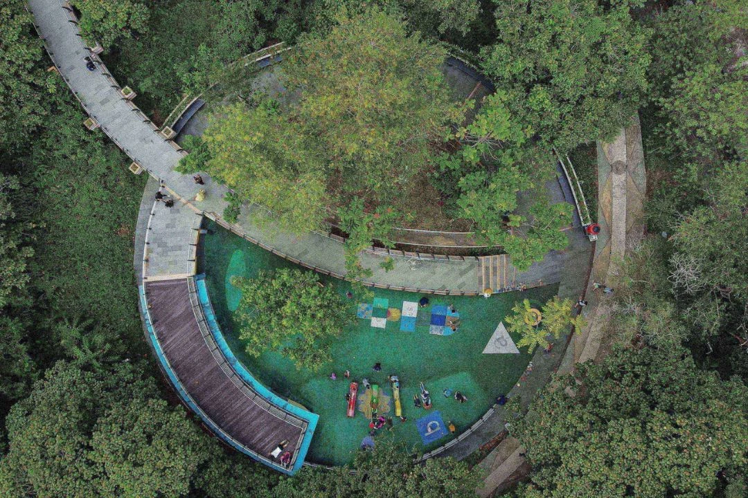 Jaga Keselamatan Pengguna Jalan, Pemkot Pontianak Tata Tanaman di Ruas Jalan