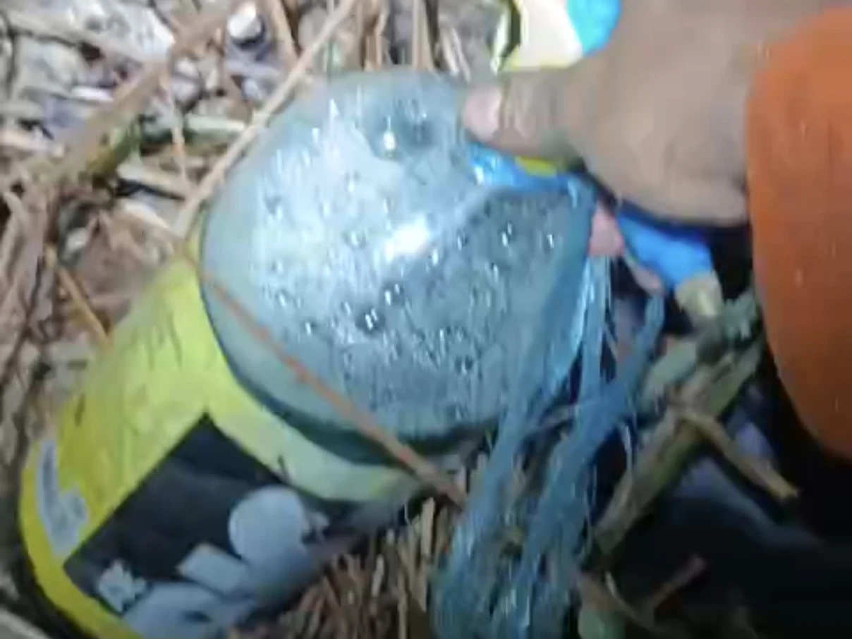 BPBD Pontianak Duga Sejumlah Lahan Sengaja Dibakar