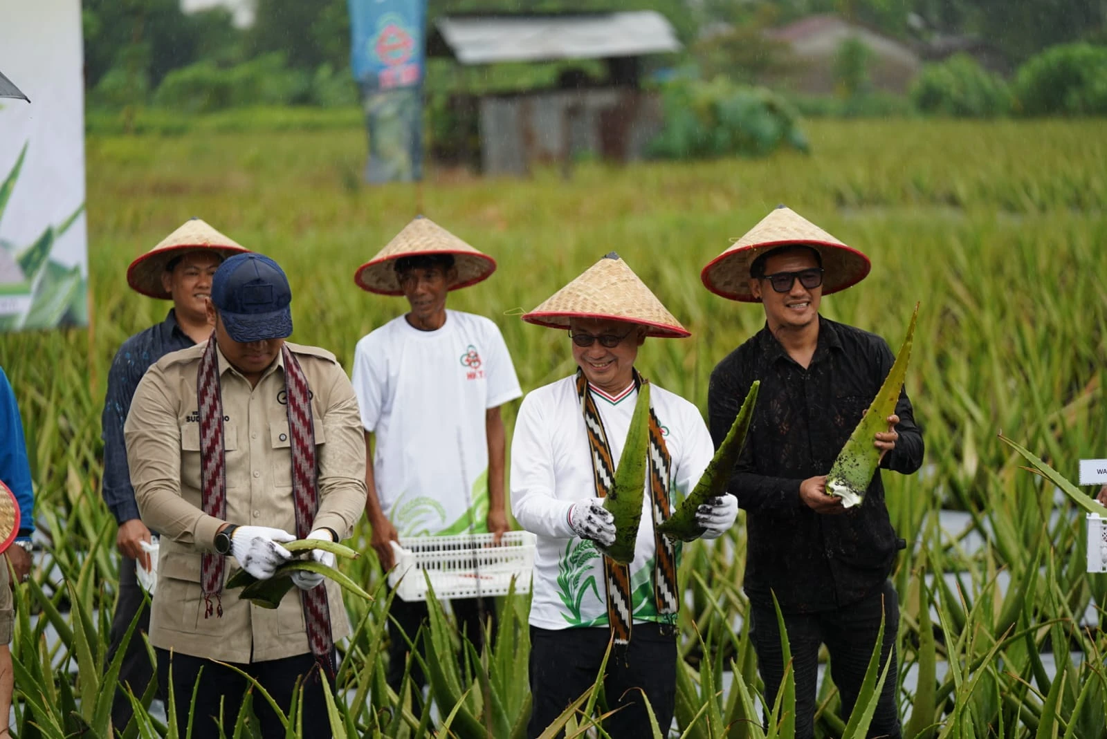 Pontianak Utara Tetap Jadi Sentra Hortikultura